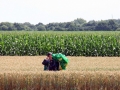 2009_07_16_008.jpg