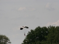 2010_06_14_07.jpg