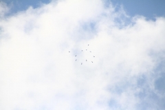 09_K1024_IMG_1789.1