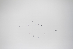 15_K1024_IMG_1841.1