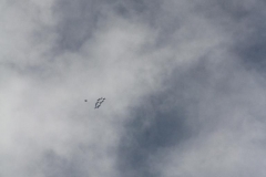 K1024_IMG_8459.1