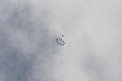 K1024_IMG_8461.1.1