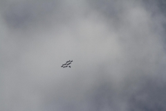 K1024_IMG_8463.1