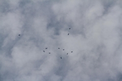 K1024_IMG_8465.1