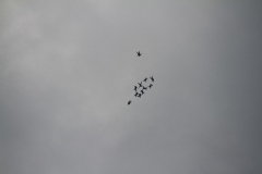K1024_IMG_8526.1