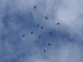 2014_08_02_24.jpg