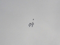 2014_08_02_34.jpg