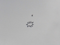 2014_08_02_35.jpg