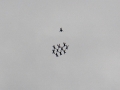 2014_08_02_37.jpg