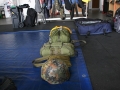 2010_07_24_04.jpg