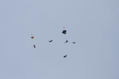 K1024_IMG_7452.1.1