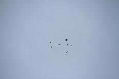 K1024_IMG_7452.1