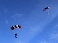 2011_03_29_03.jpg
