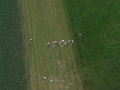 Andreas 1000er Fallschirmsprung_08.jpg