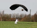 2010_04_02_12.jpg