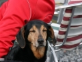 2012_04_08_49.jpg