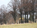 2013_04_01_30.jpg