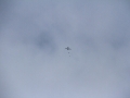 2013_04_06_03.jpg