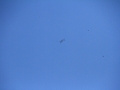 2014_04_19_01.jpg