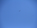 2014_04_19_02.jpg