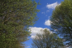 K1024_IMG_0235.1