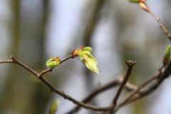 06_K1024_IMG_8108.1