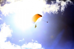 08_K1024_IMG_8634.1