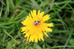 13_K1024_IMG_8663.1