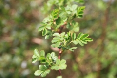 29_K1024_IMG_7956.1