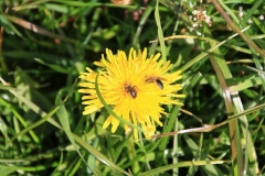 06_K1024_IMG_7089.1