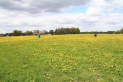 13_K1024_IMG_7098.1