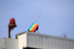 01_K1024_IMG_4769.1