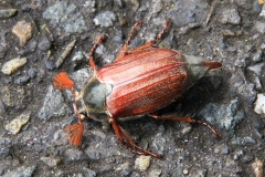 01_K1024_IMG_5738.1.1