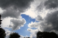 K1024_IMG_3932.1