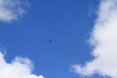 K1024_IMG_0295.1