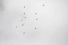 K1024_IMG_5227.1
