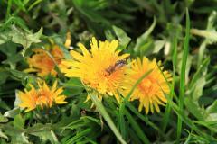 K1024_IMG_5320.1