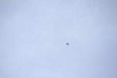 K1024_IMG_5344.1