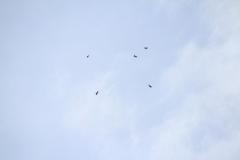 K1024_IMG_5345.1