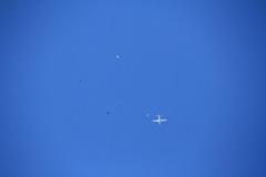 K1024_IMG_5617.1