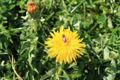 K1024_IMG_5706.1