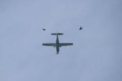 K1024_IMG_5930.1
