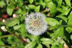 K1024_IMG_6001.1