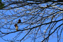 K1024_IMG_6002.1
