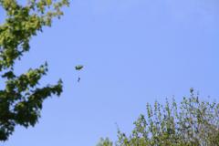 K1024_IMG_6021.1