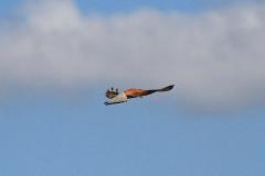 K1024_IMG_6187.1