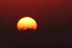 K1024_P1060836.1