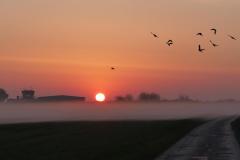 K1024_P1060840.1