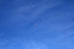 K1024_IMG_0312.1