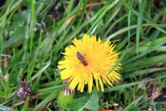 K1024_IMG_0590.1